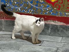 -尼玛藏家风味园(阿山食城店)