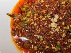 -院8里·小聚园老川菜(九眼桥店)