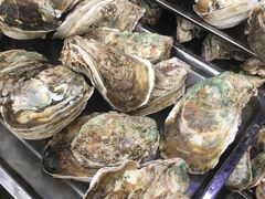-蚝专家(北滘店)