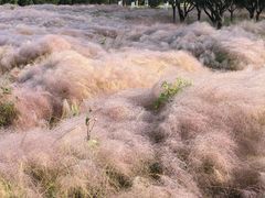 -华山御温泉度假村