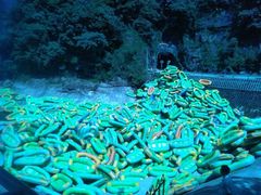 -雅鲁激流探险漂流