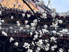 -龙华寺