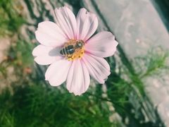 -阿坝州汶川特别旅游区