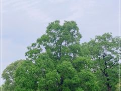 -南京市江宁方山