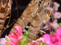 -新花城蟹粉馆(乌鲁木齐店)