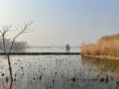 -济南大明湖景区