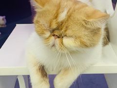 -极木²邸 人与宠物·互动社区