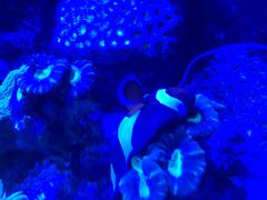 景点-成都浩海立方海洋公园