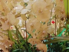-东方之珠洗浴休闲广场(于家堡店)