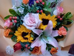 -大自然花鸟鱼虫市场