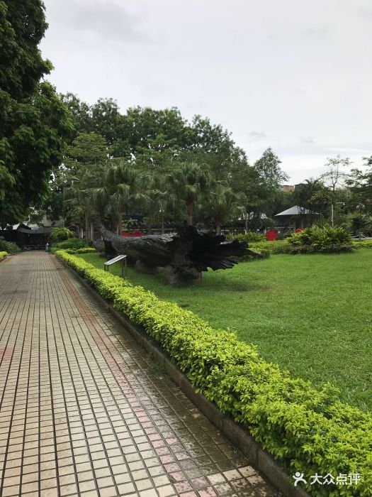 春城公园-图片-阳春市周边游-大众点评网