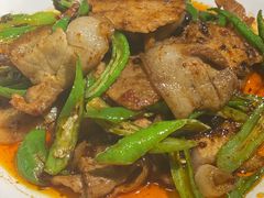 -陈麻婆豆腐总店