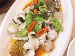 -寻味顺德·南记酒家·传统顺德菜·鱼生(广源路店)