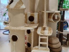 -藏猫猫咖啡主题馆(中央大道店)