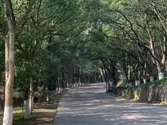 -南北湖风景区