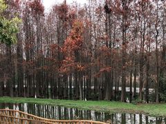 -厦门园林博览苑