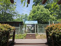 -老山国家森林公园