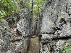 -千岛湖石林