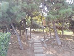 -黑石礁公园