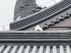 -东台西溪天仙缘景区