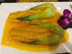 -南京金牛湖巨碗鱼头