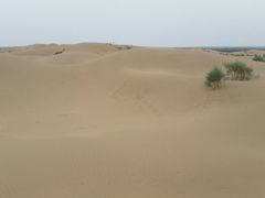 -亿利库布其七星湖沙漠生态旅游区