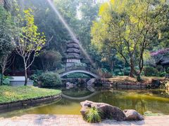 -深圳国际园林花卉博览园