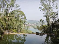 -水濂山森林公园