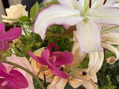 -花舍·新派粤菜·西餐·下午茶(亚运村·鸟巢店)
