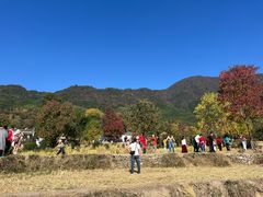 -塔川景区