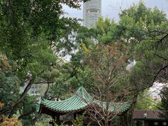 -九龙公园