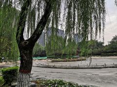-木塔寺遗址生态公园