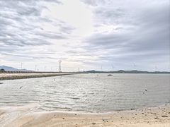 -汕尾风车岛