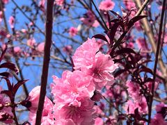 -百姓康洁洗浴中心