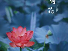 -陶然亭公园