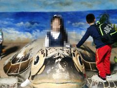 -泉城欧乐堡海洋极地世界