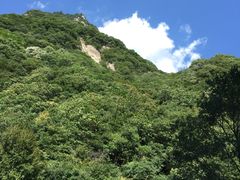 -陕西省红河谷森林公园
