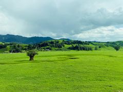 -新疆那拉提国家旅游度假区