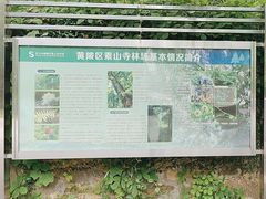 -素山寺森林公园