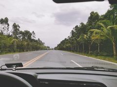 -东郊椰林