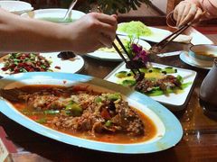 -阿鹏故事云南野生菌火锅(人民路店)