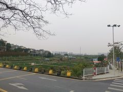 -南国桃园旅游度假区