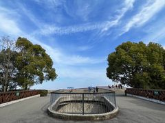 -上海滨江森林公园