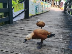 -汕头蓝水星欢乐世界