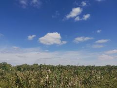 -盐城丹顶鹤湿地生态旅游区