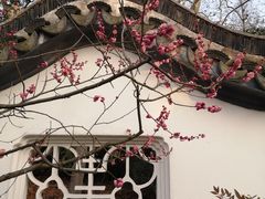 -新白鹿餐厅(金鹰新街口店)