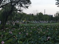 -渭滨公园