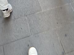 -圣母百花圣殿