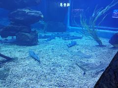 -多彩贵州城极地海洋世界