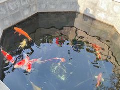 -西安市广仁寺